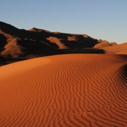 Africa_Morocco_Zagora